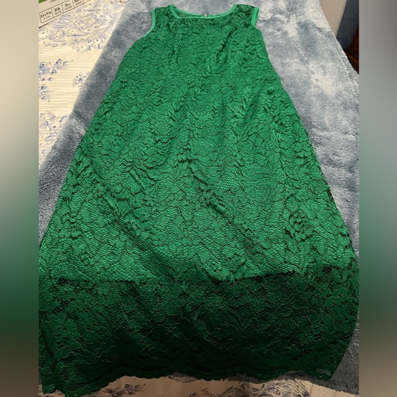 The Limited Dresses & Skirts - The Limited lined lace dress